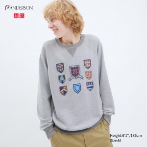 Sweat a Capuche Uniqlo College Sweatshirt Homme Grise | 1803-IVZBX